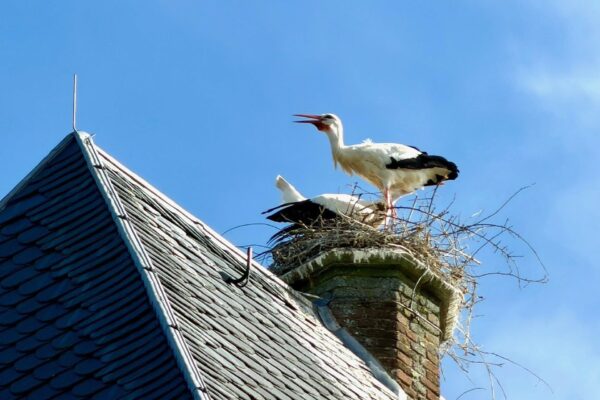 669764774_26324455917216996_8860720422632086912_n